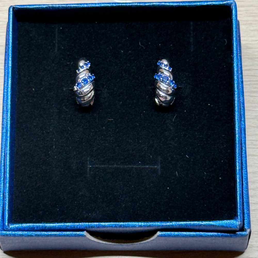Silver Blue Twisted Huggie Hoop Earrings Small Ribbed Quiet Luxury
